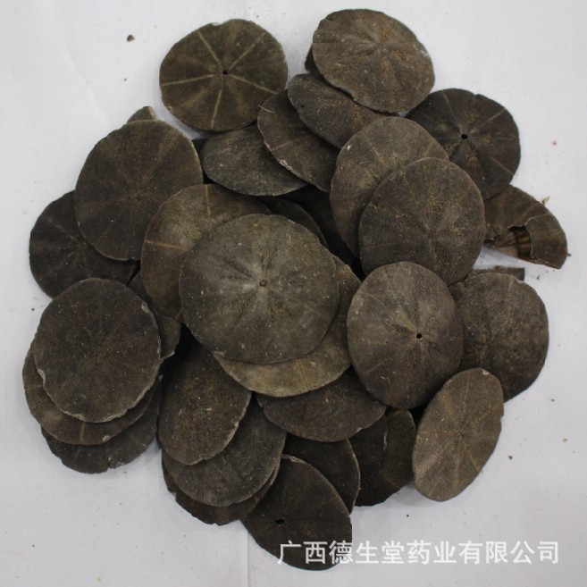 海金钱 产地直销 中药 中药材 中药批发